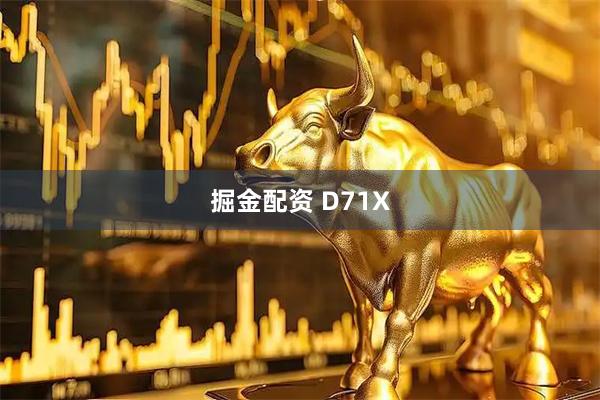 掘金配资 D71X