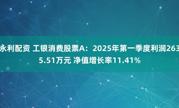 永利配资 工银消费股票A：2025年第一季度利润2635.51万元 净值增长率11.41%