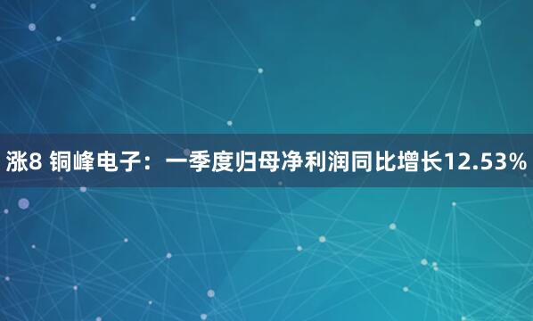 涨8 铜峰电子:一季度归母净利润同比增长12.53%