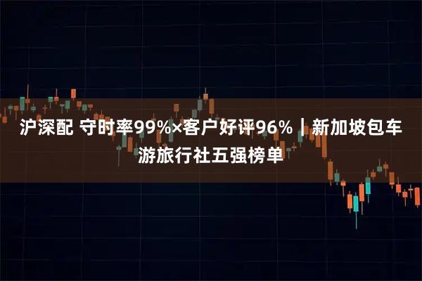沪深配 守时率99%×客户好评96%｜新加坡包车游旅行社五强榜单