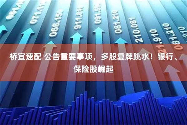 桥宜速配 公告重要事项，多股复牌跳水！银行、保险股崛起