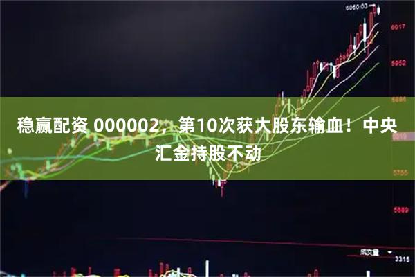稳赢配资 000002,第10次获大股东输血!中央汇金持股不动